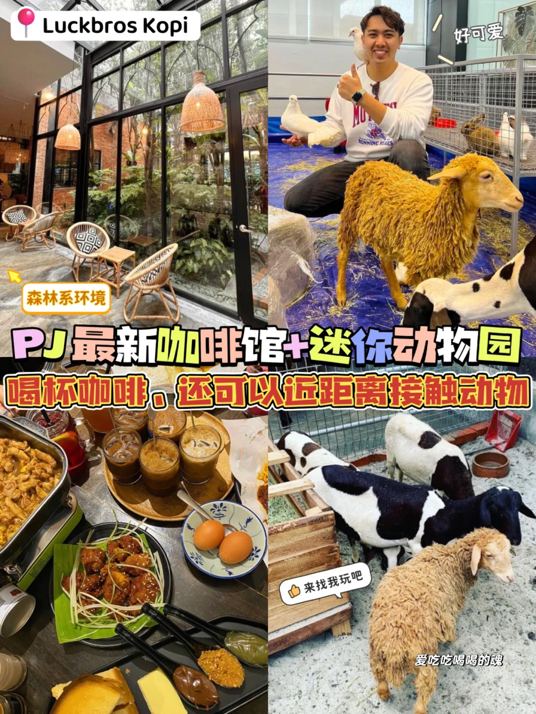 手机版迷你动物园下载畸形动物园电脑版下载官方免费版