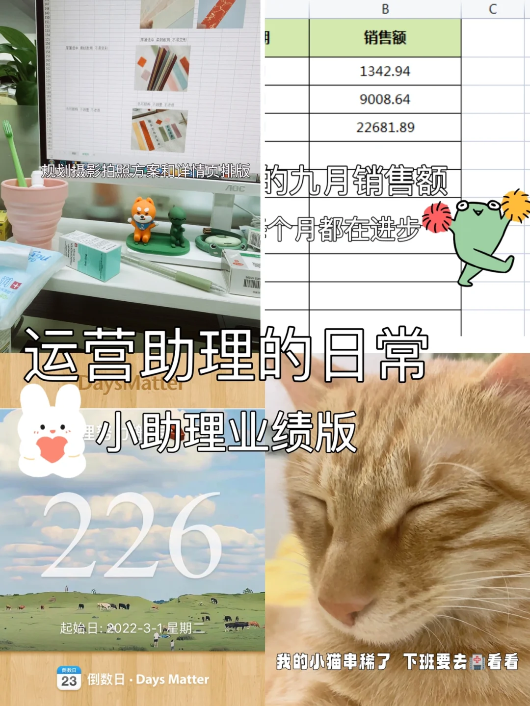 运营助理安卓版运营助理到运营要多久