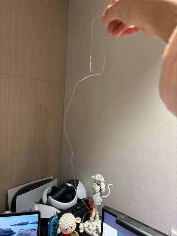 苹果zl是什么版appledeveloper