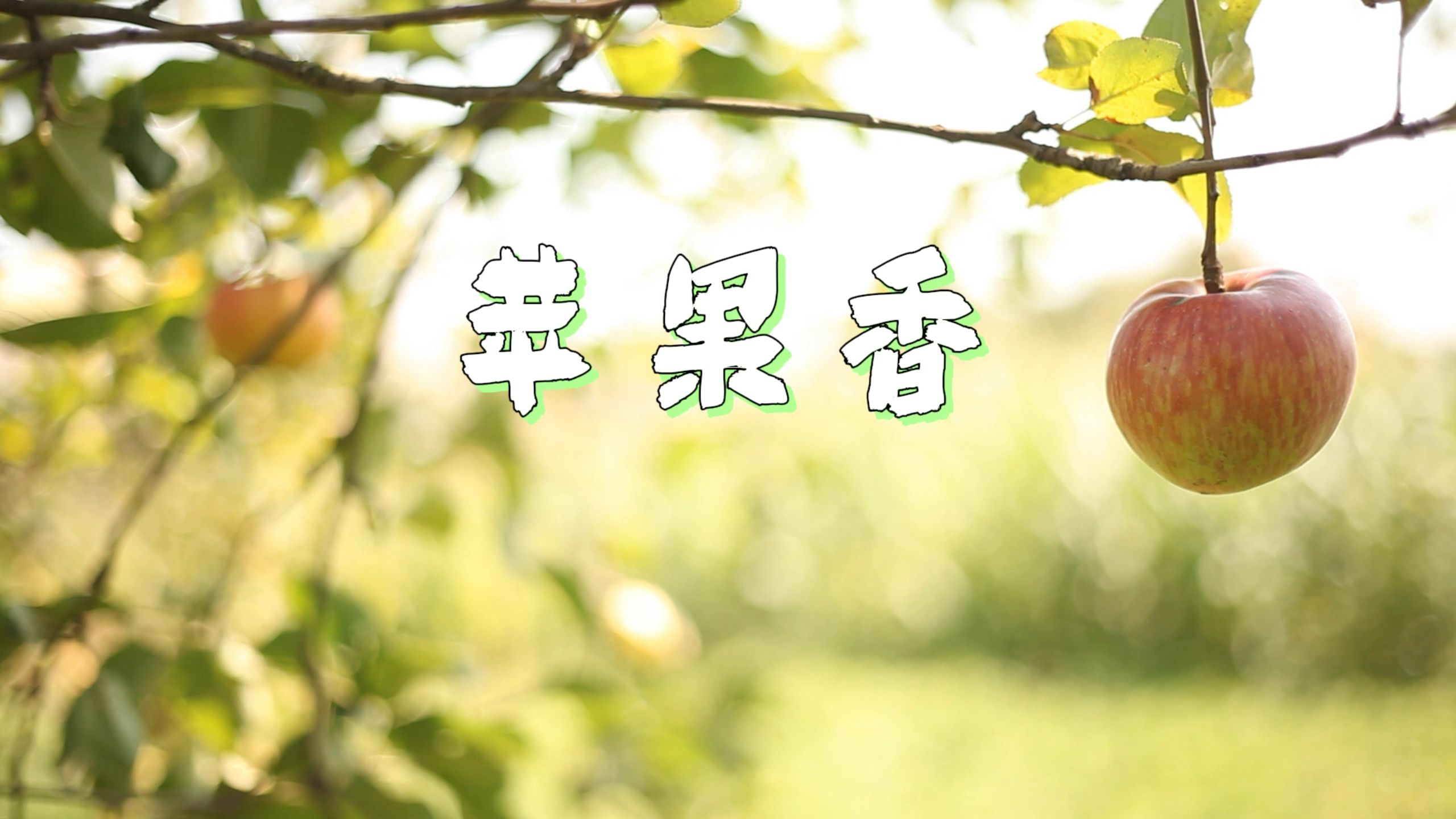 念经版苹果香苹果香完整歌词-第2张图片-太平洋在线下载