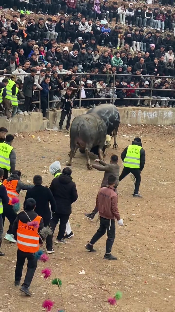 斗牛手机版作弊器手机斗牛作弊器下载-第2张图片-太平洋在线下载 斗牛手机版作弊器手机斗牛作弊器下载-第2张图片-太平洋在线下载